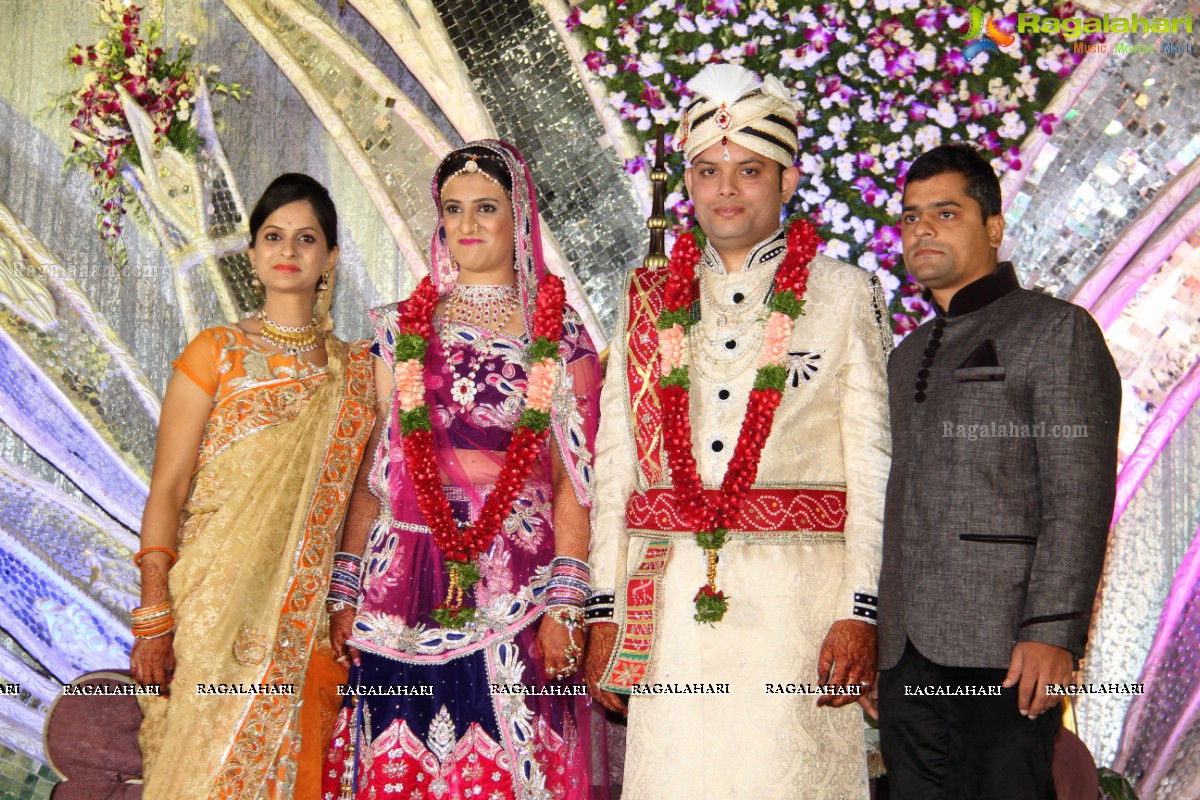 Wedding Reception of Aditya Chandak-Priyanka Navander 