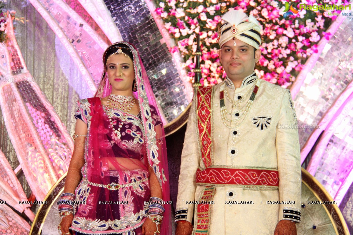 Wedding Reception of Aditya Chandak-Priyanka Navander 