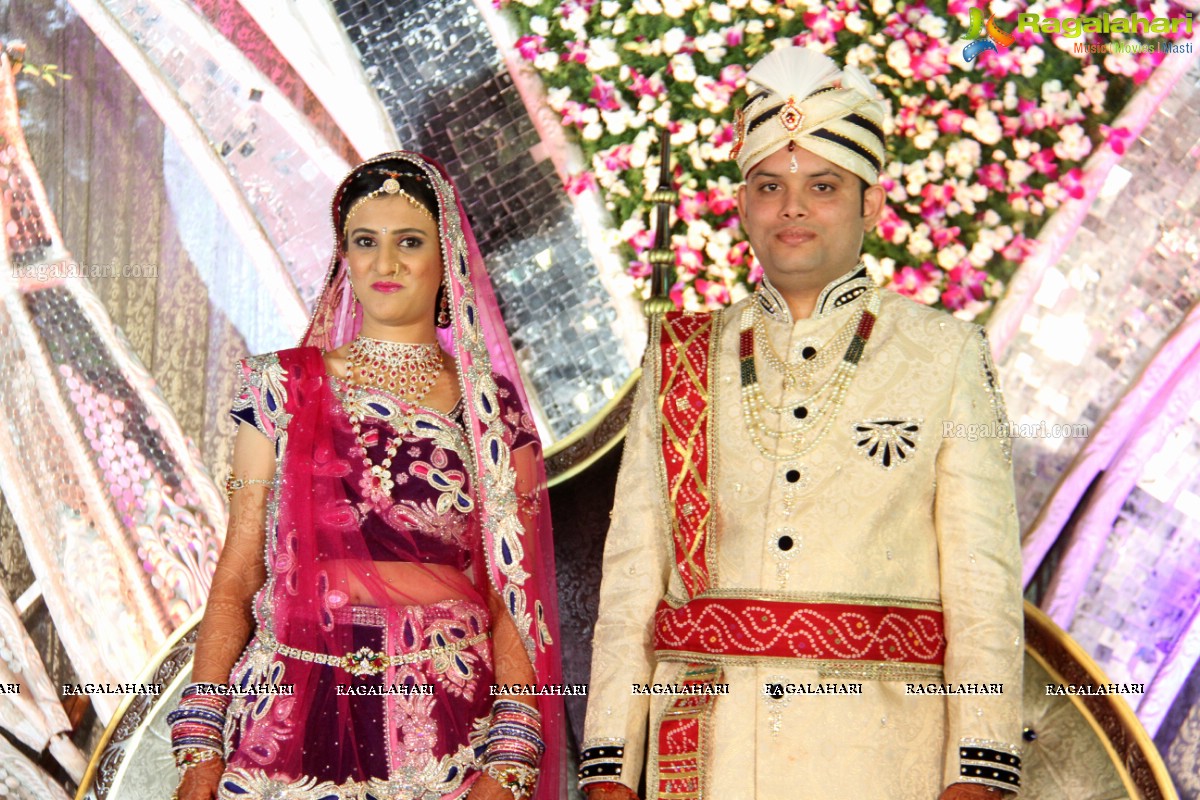 Wedding Reception of Aditya Chandak-Priyanka Navander 