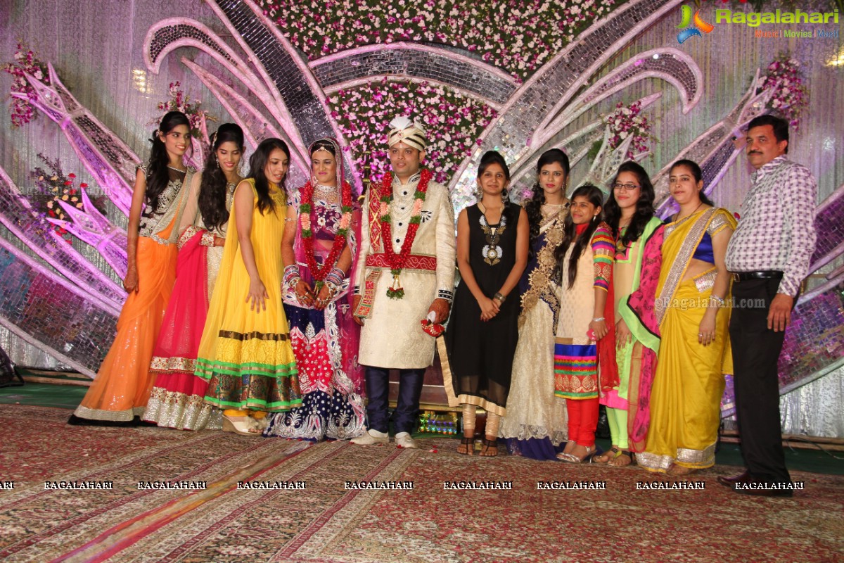 Wedding Reception of Aditya Chandak-Priyanka Navander 