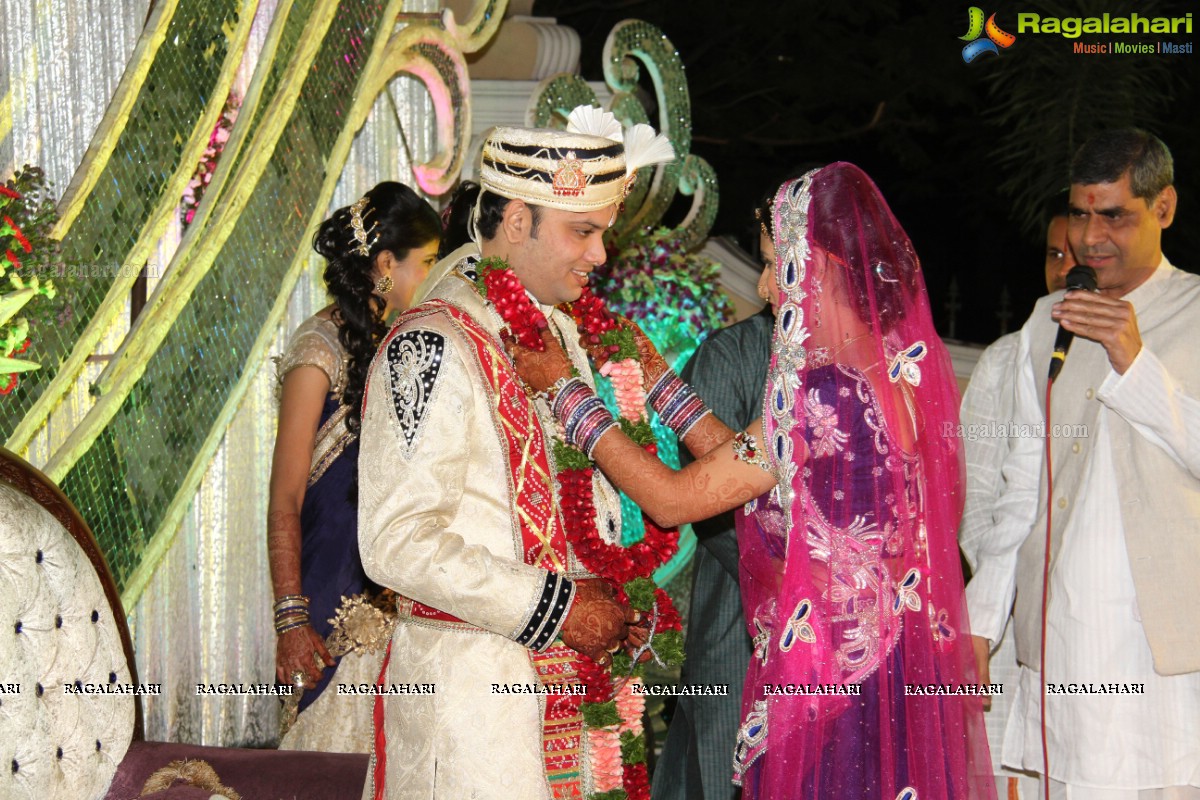 Wedding Reception of Aditya Chandak-Priyanka Navander 