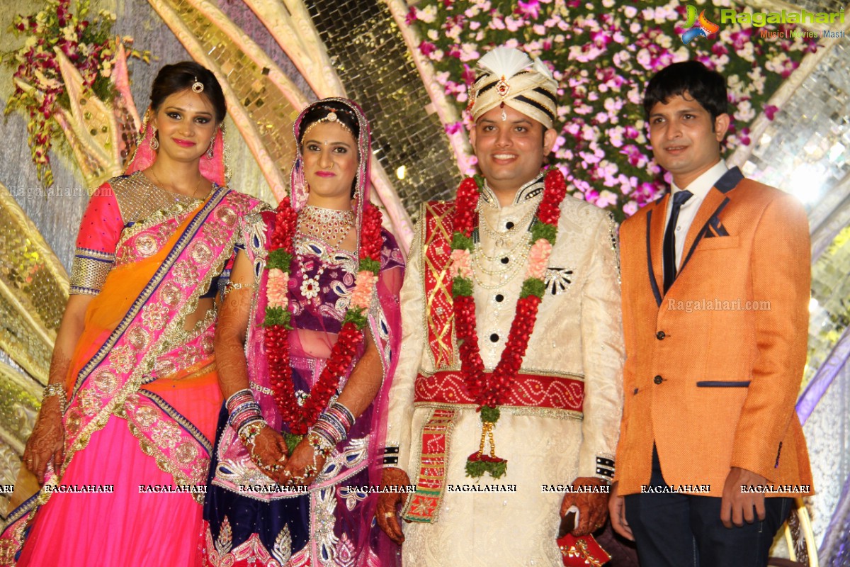 Wedding Reception of Aditya Chandak-Priyanka Navander 