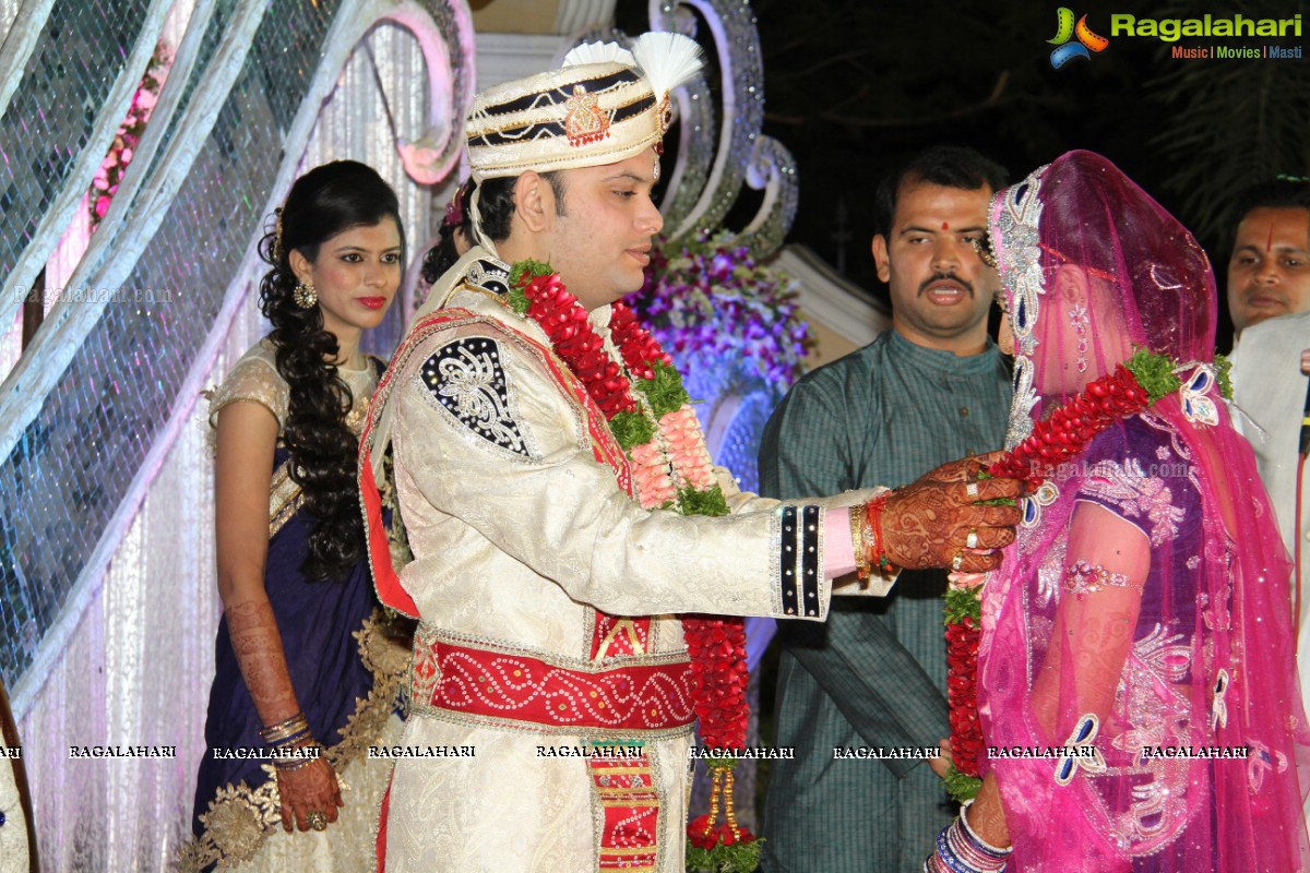 Wedding Reception of Aditya Chandak-Priyanka Navander 