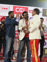 Celebrity Cricket League