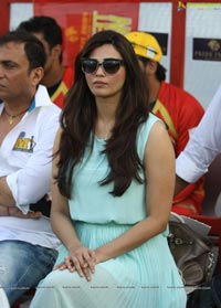 Celebrity Cricket League