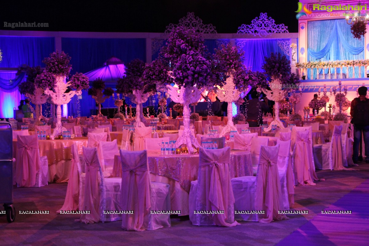 Grand Wedding Reception of Manish Surana-Nikita Jain