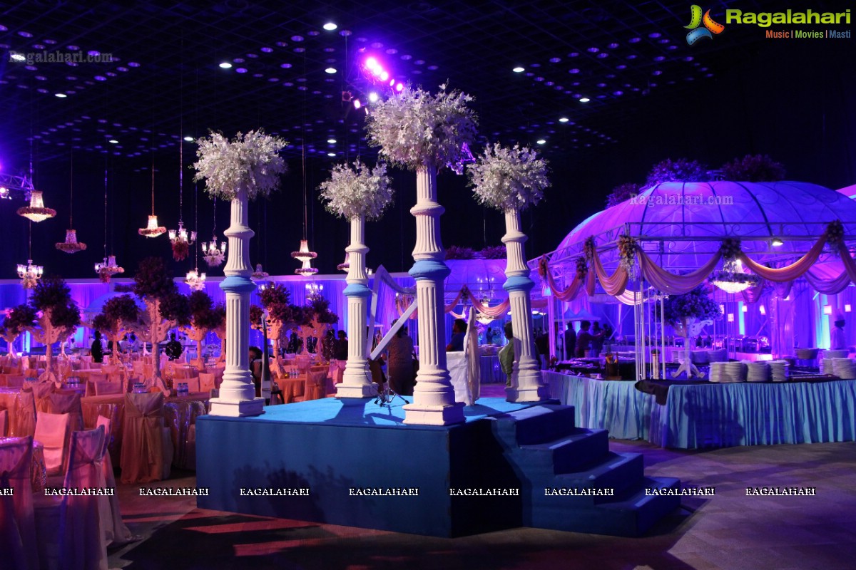 Grand Wedding Reception of Manish Surana-Nikita Jain