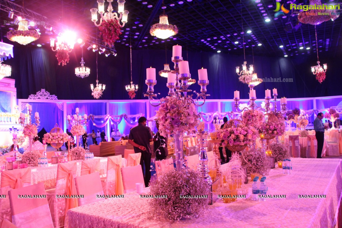 Grand Wedding Reception of Manish Surana-Nikita Jain