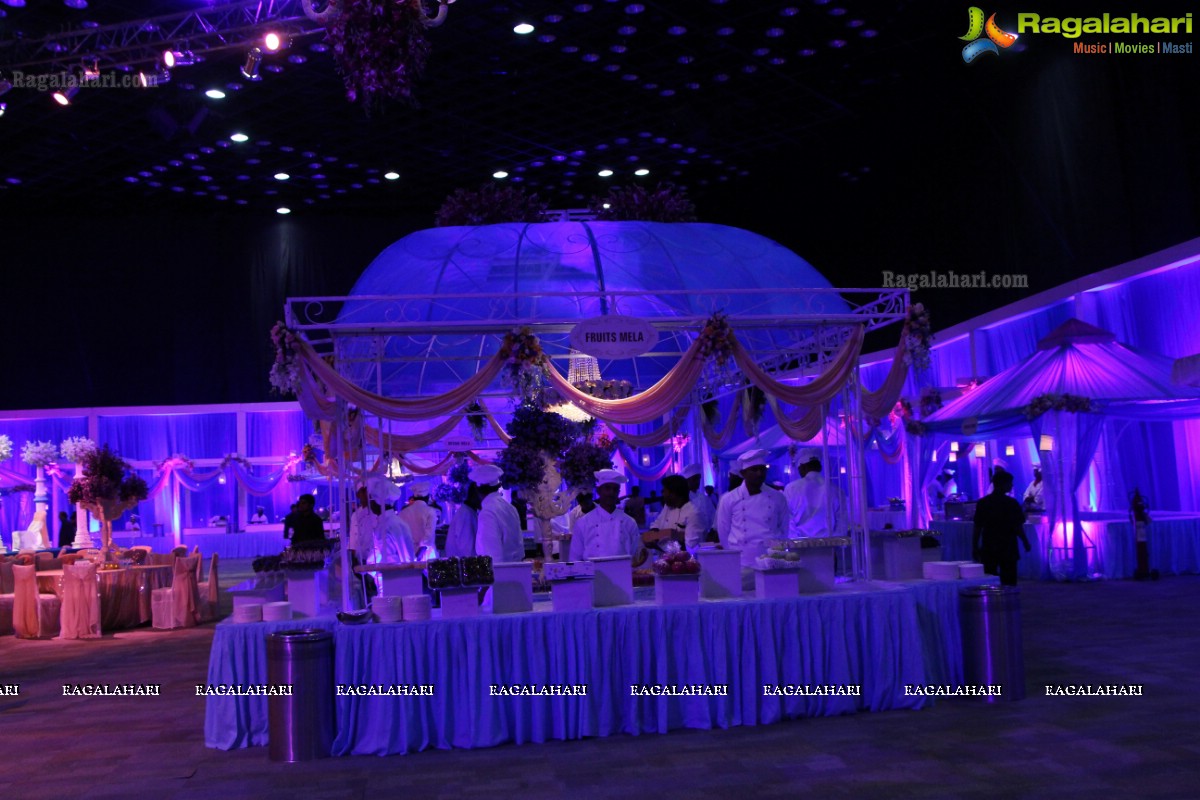 Grand Wedding Reception of Manish Surana-Nikita Jain