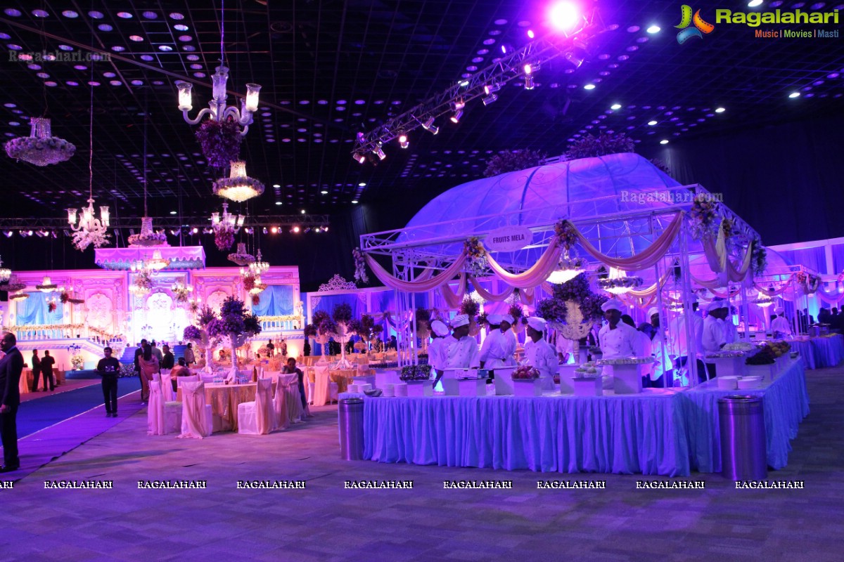 Grand Wedding Reception of Manish Surana-Nikita Jain