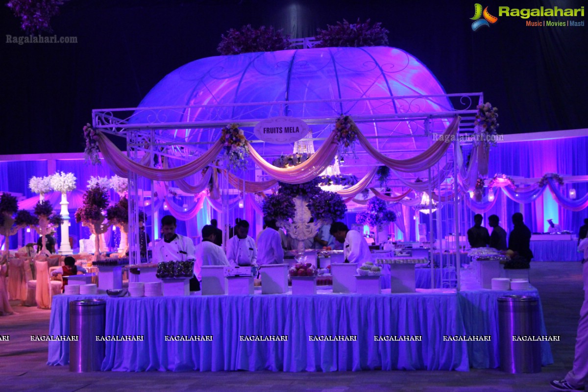 Grand Wedding Reception of Manish Surana-Nikita Jain