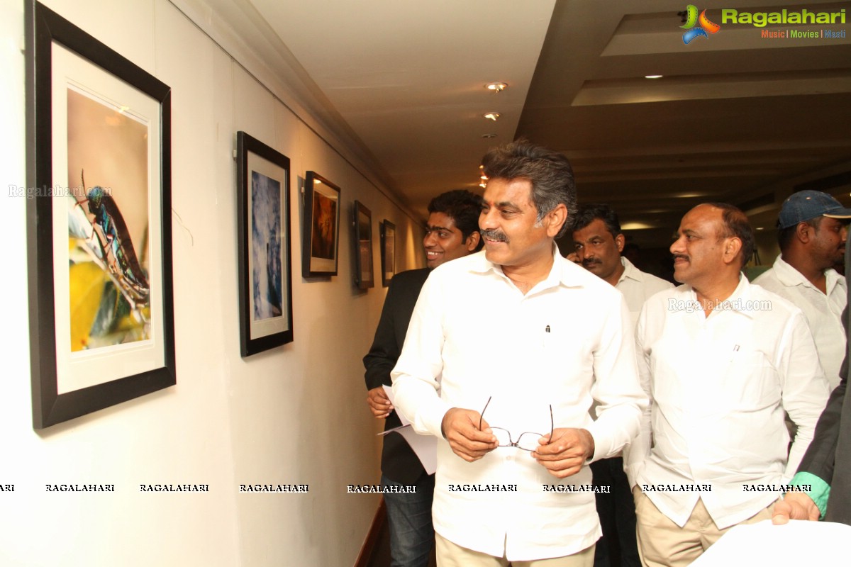 Green Frames Exhibition by Harithon Crew at Muse Art Gallery