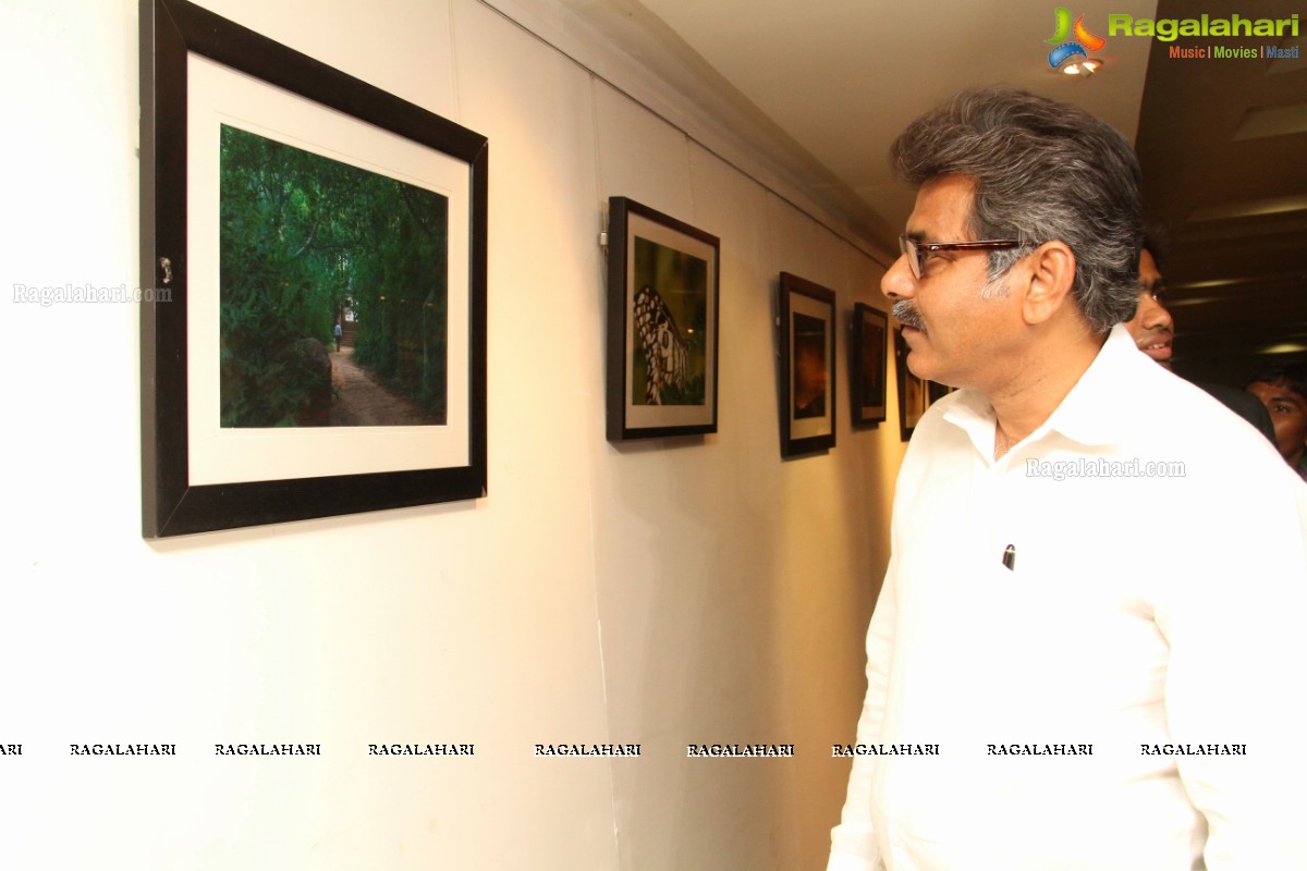Green Frames Exhibition by Harithon Crew at Muse Art Gallery