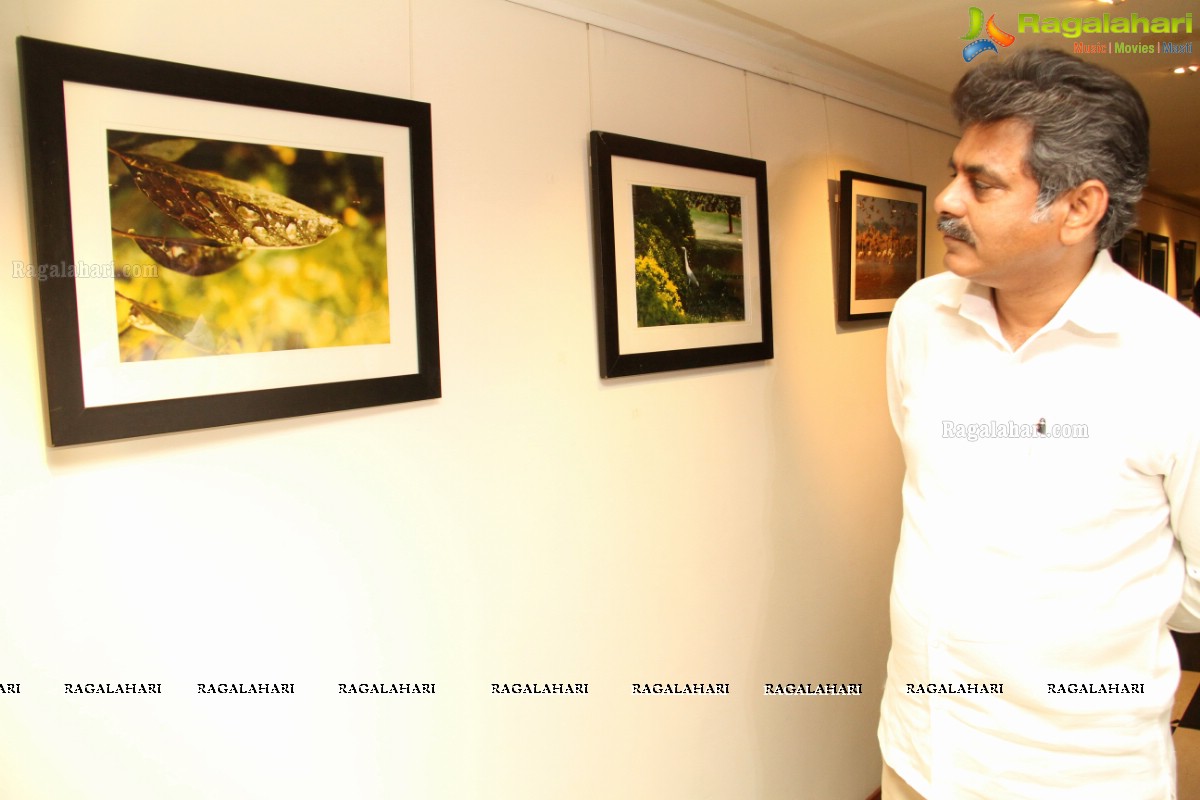 Green Frames Exhibition by Harithon Crew at Muse Art Gallery