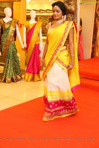 Kalanikethan Wedding Sarees