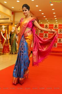 Kalanikethan Wedding Sarees