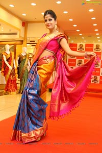 Kalanikethan Wedding Sarees