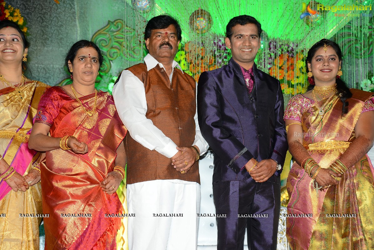 Pratani Ramakrishna Goud's Son Wedding Reception
