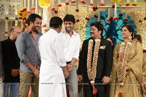 Rajendra Prasad Son Wedding Reception