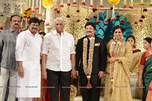 Rajendra Prasad Son Wedding Reception