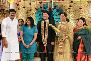 Rajendra Prasad Son Wedding Reception