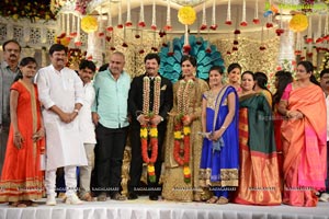 Rajendra Prasad Son Wedding Reception