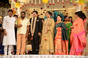 Rajendra Prasad Son Wedding Reception