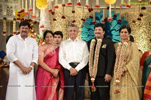 Rajendra Prasad Son Wedding Reception