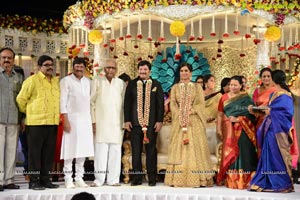 Rajendra Prasad Son Wedding Reception