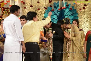 Rajendra Prasad Son Wedding Reception