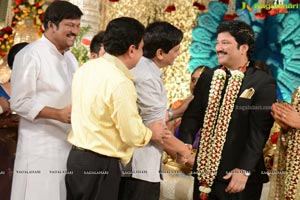 Rajendra Prasad Son Wedding Reception