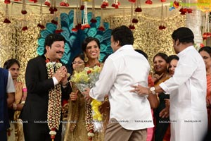 Rajendra Prasad Son Wedding Reception