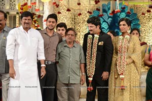 Rajendra Prasad Son Wedding Reception