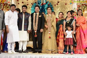 Rajendra Prasad Son Wedding Reception