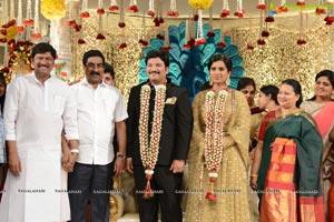 Rajendra Prasad Son Wedding Reception