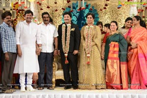 Rajendra Prasad Son Wedding Reception