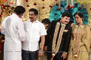 Rajendra Prasad Son Wedding Reception