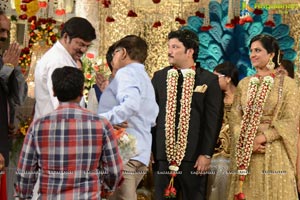 Rajendra Prasad Son Wedding Reception