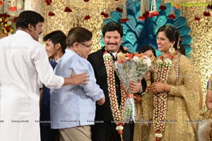 Rajendra Prasad Son Wedding Reception