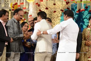 Rajendra Prasad Son Wedding Reception