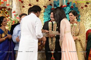 Rajendra Prasad Son Wedding Reception