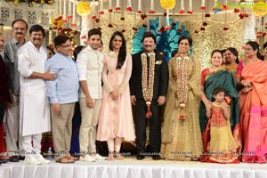 Rajendra Prasad Son Wedding Reception