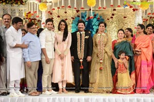 Rajendra Prasad Son Wedding Reception