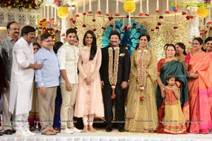 Rajendra Prasad Son Wedding Reception