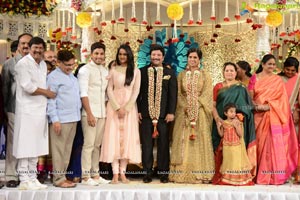 Rajendra Prasad Son Wedding Reception