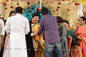 Rajendra Prasad Son Wedding Reception