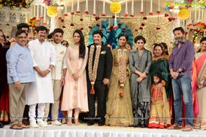 Rajendra Prasad Son Wedding Reception