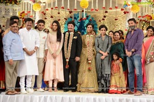 Rajendra Prasad Son Wedding Reception