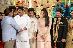 Rajendra Prasad Son Wedding Reception