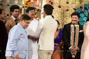 Rajendra Prasad Son Wedding Reception